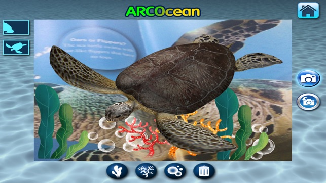 ARCOCEAN - ARC OCEAN(圖5)-速報App