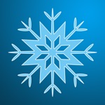 Catch the Snowflakes