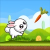 Crazy Bunny Rabbit Carrot Adventure