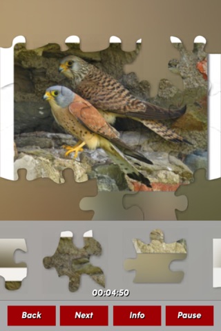 Birds Jigsaw Puzzles screenshot 2