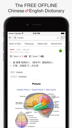 English - Chinese Dictionary & Phrasebook / 英英字典、翻译器、抽认卡、短语集(圖1)-速報App