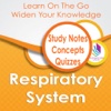 Respiratory System Flashcard