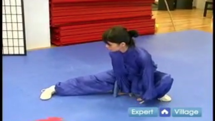 Wushu Training screenshot-4