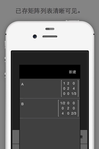 Matrix Calculator +    —Lite Version screenshot 3