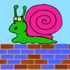 Snail On The Wall