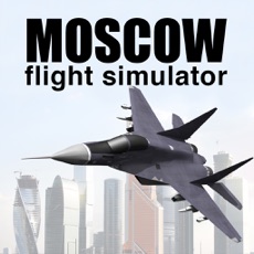 Activities of Moscow Flight Simulator