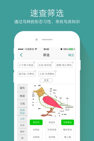 中国野鸟速查 screenshot 2