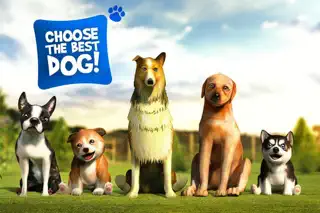 Dog Simulator 2015 - Screenshot 3