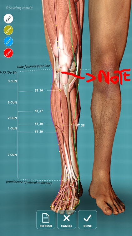 Visual Acupuncture screenshot-3