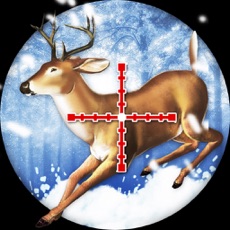 Activities of Shoot Kill Deer Winter