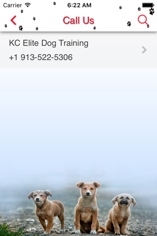 KC Elite Dog Training screenshot 3