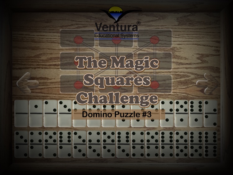 Domino Puzzle #3