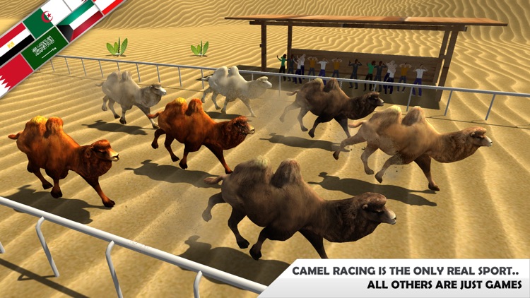 Real Camel Simulator 3d: Horse Racing game & wild animals games