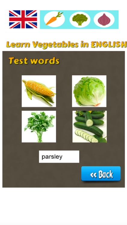 Learn Vegetables in English Language