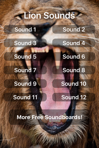 Lion Sounds - náhled