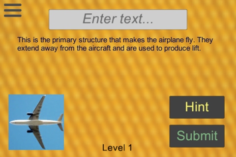 Aviation Spelling Bee screenshot 3