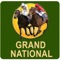 Grand National News