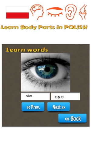 Learn Body Parts in Polish(圖3)-速報App