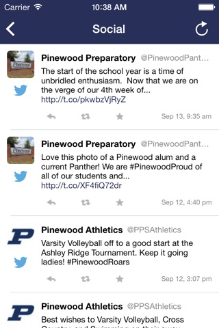 Pinewood Prep Roar Zone screenshot 2
