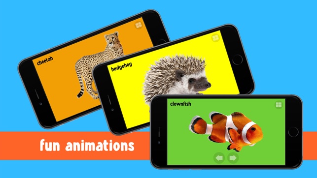 100 Animals Words for Babies & Toddlers School Edition(圖2)-速報App