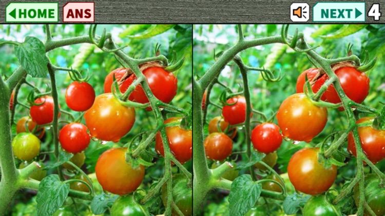 Spot the Difference2016