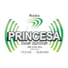 Rádio Princesa das Matas