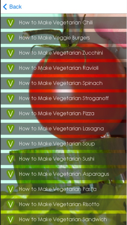 Vegetarian Meal Recipes - Healthy Vegetarian Tips screenshot-4