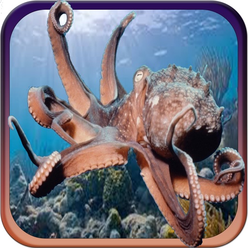 2016 Octopus Hunter Challenge-Tentacle Sea Creatures Hunting Adventure icon