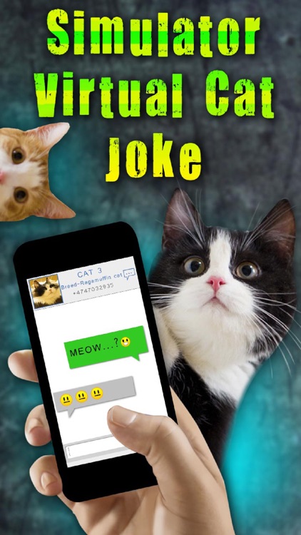 Simulator Virtual Cat Joke