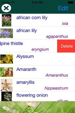 Flower Dictionary - All Information About A - Z Common Species Of Flower screenshot 3