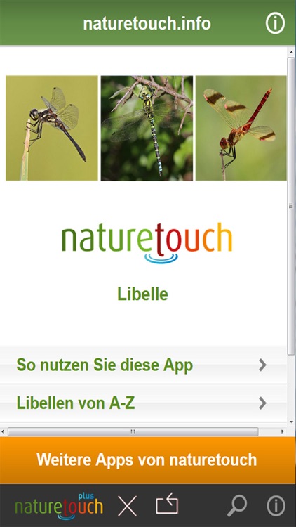 Libellen bestimmen screenshot-4