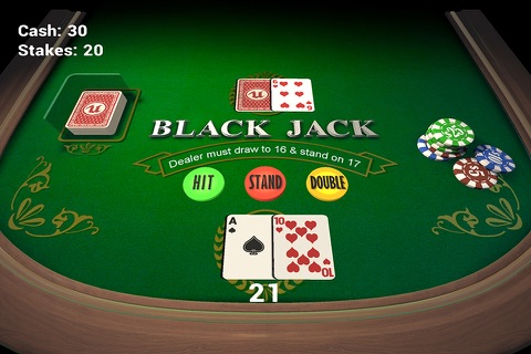 Black Jack - Las Vegas Casino card game screenshot 4