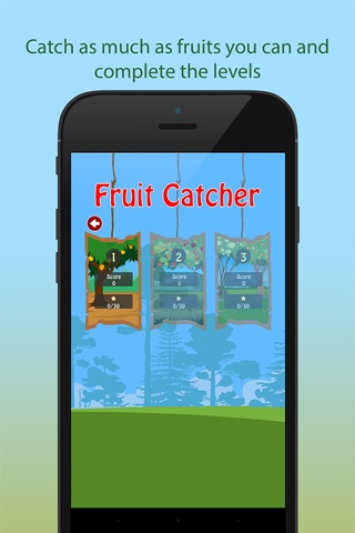 Crazy Fruit-Catcher screenshot 4