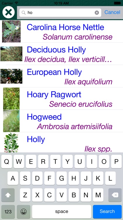 Plant Dictionary - All Information About A - Z Common Species Of Plant