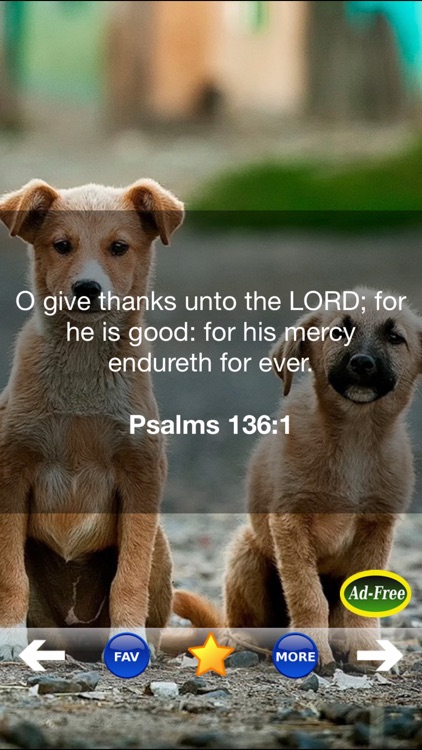 Bible Study for Kids FREE! Inspirational Verse of the Day App With Daily Devotionals & Inspirations!