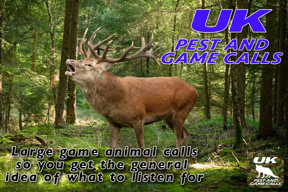 UK Pest and Game Calls screenshot 2