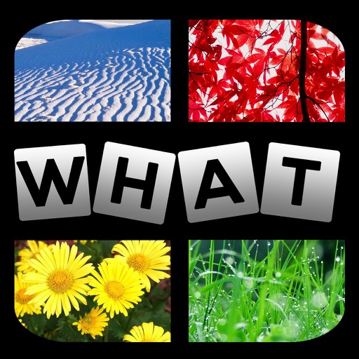 PicMixed Free: How can you guess the 1 word based on the 2 pics for ruzzle, word brain, cube jump Icon