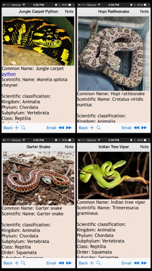 Snakes Encyclopedia Plus+(圖1)-速報App