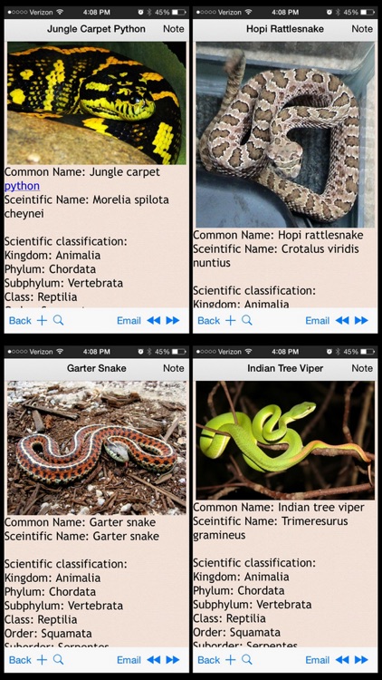 Snakes Encyclopedia Plus+