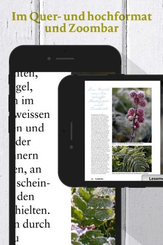 LandLiebe E-Paper screenshot 2