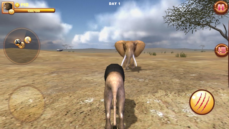 Wild Lion Adventures