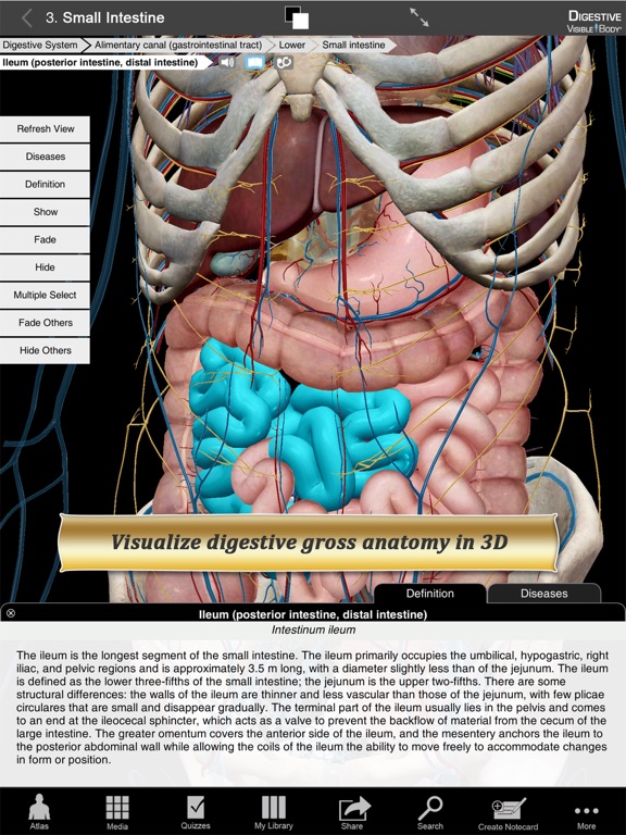 Digestive Anatomy Atlas: Essential Reference for Students and Healthcare Professionalsのおすすめ画像1