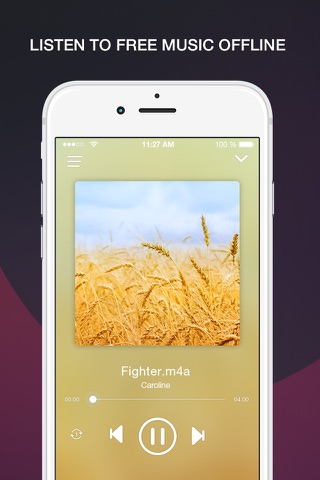 Free Music Online and MP3 Player Manager - náhled