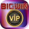 BIG WIN Vip Game - FREE Slots Machine
