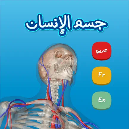 Anatomy AR Читы