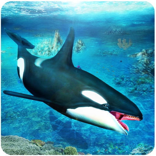 Killer Whale Simulator 3D – An Orca simulation game iOS App