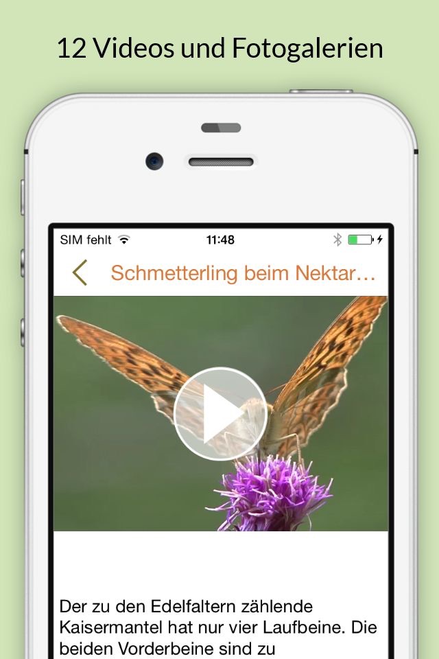 Insekten & Schmetterlinge bestimmen – entdecken Sie die 100 wichtigsten Arten in der Natur und im eigenen Garten screenshot 4