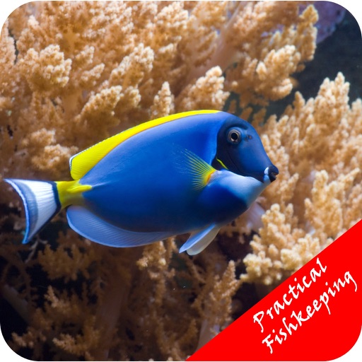 Practical Fishkeeping - Living With Fish icon