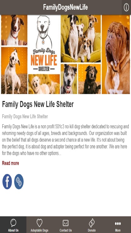 Family Dogs New Life Shelter