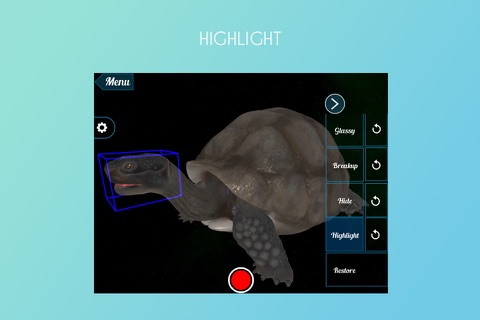 Tortoise 3D screenshot 3